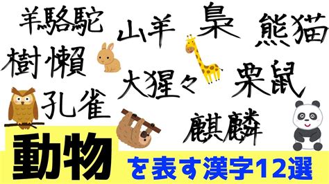 馬名字|動物を表す漢字を含む名字（苗字）まとめ